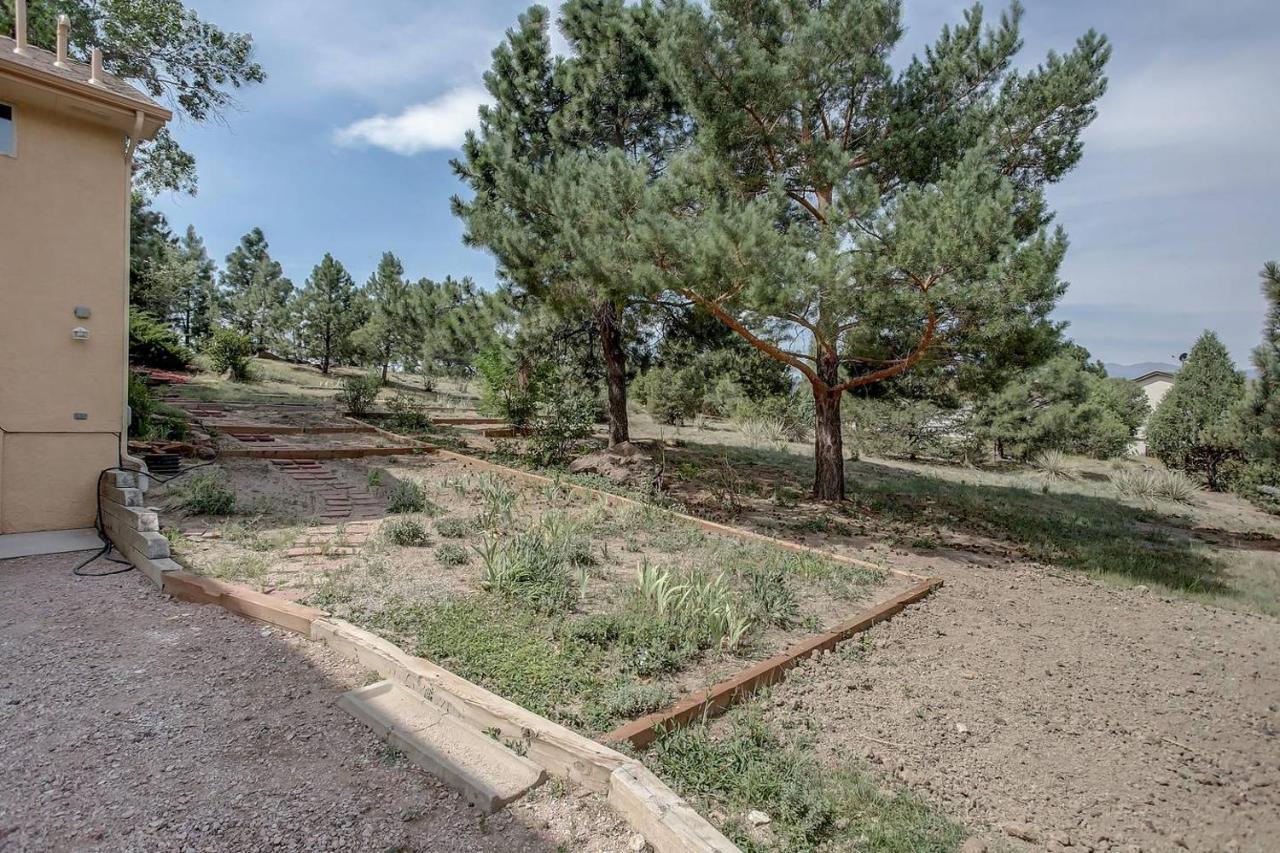 Bright & Cozy Studio Apartment In Colorado Springs Eksteriør bilde